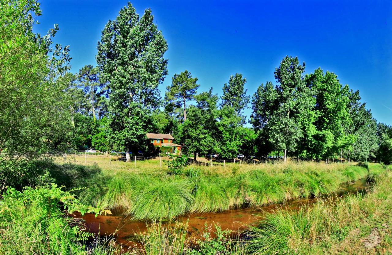 Village Nature Et Ocean A Cote De La Plage Avec Piscine Et Jacuzzi Месанж Екстериор снимка
